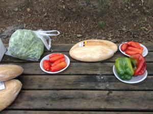 associazione crescere (150)